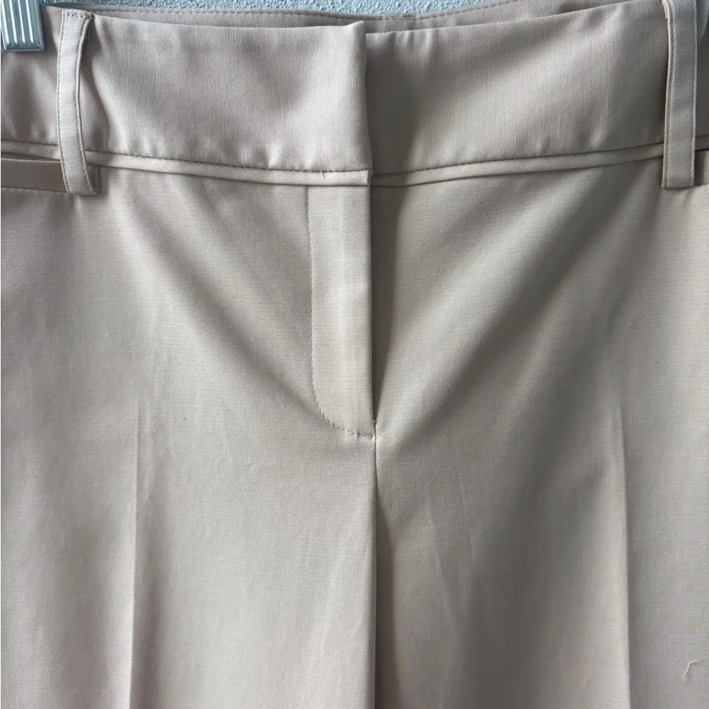 Rafaella Tan Petite Size 10 Pants Ankle Front Zip & Button Career Office Stretch